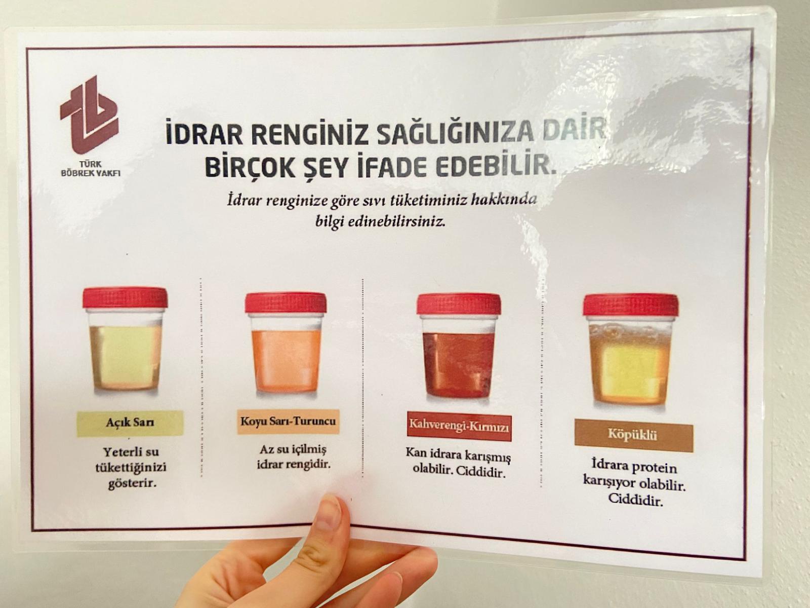 "Genç Bilinçle Sağlıklı Böbreklere"