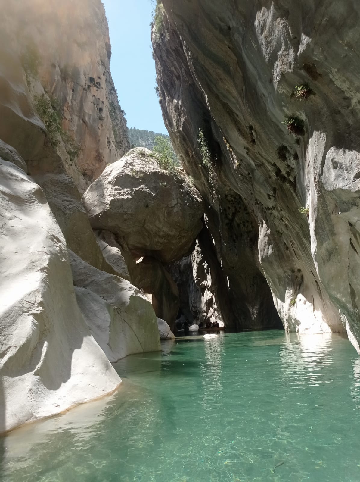 Köklerimizde Hayat Var-Antalya'nın Biyoçeşitliliğini Keşfetmek Göynük Kanyonu Gezisi
