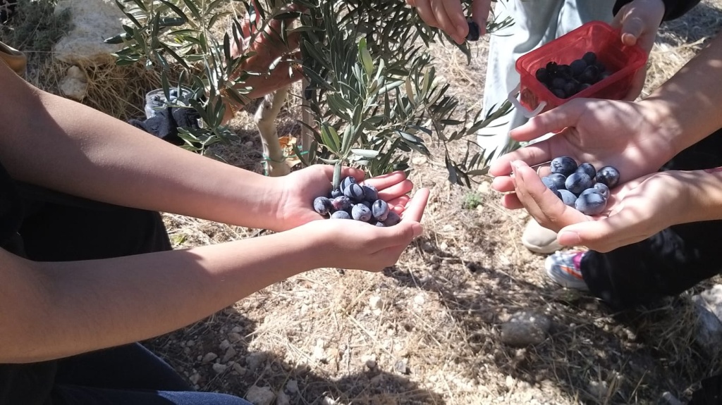 Hayatla iç içe, Kümes ve Bahçe Hikayesi Projesi