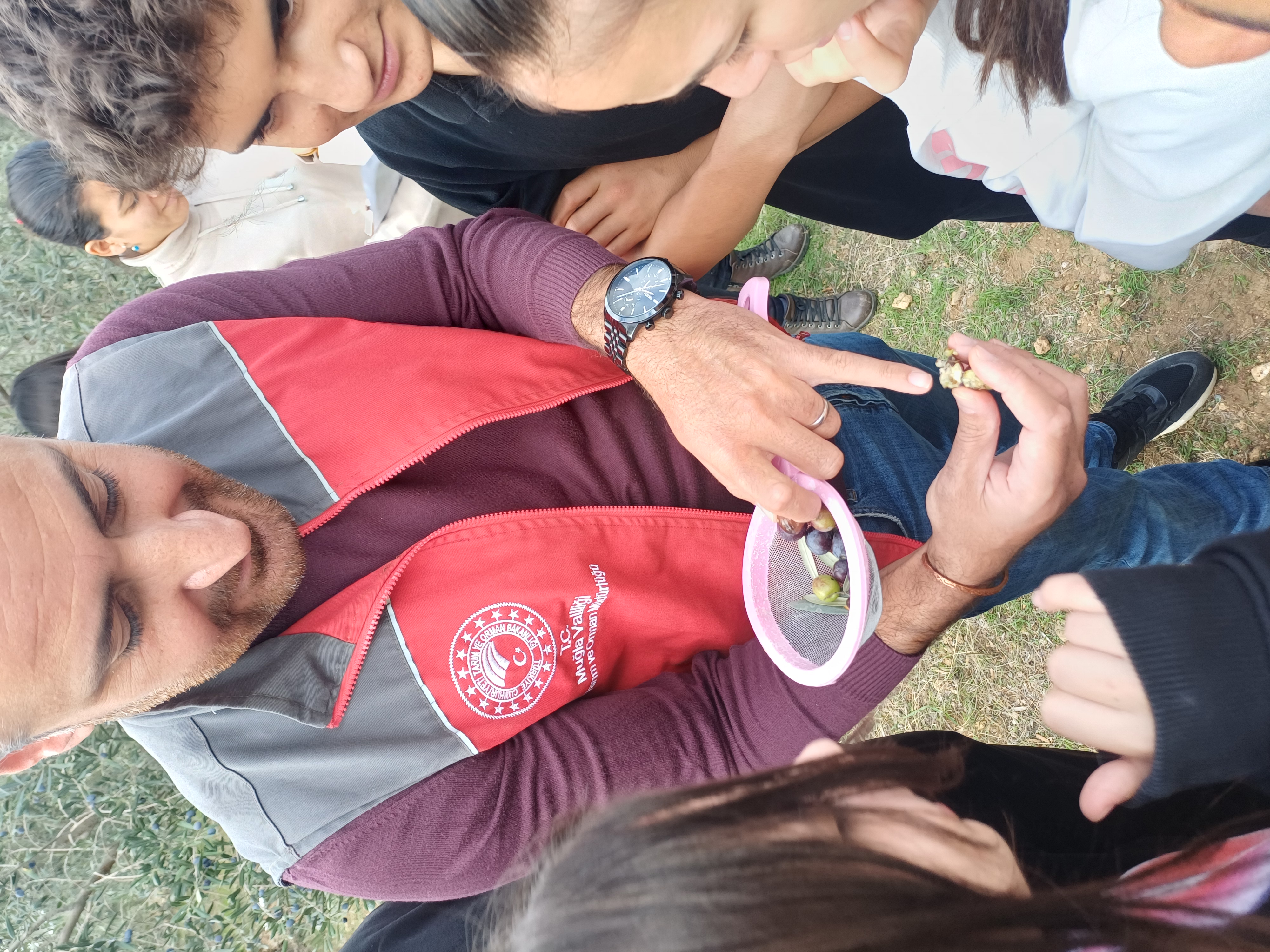 KAVAKLIDERE GENÇ AR-GE ZEYTİN YETİŞTİRİCİLİĞİ VE TOPRAK ANALİZİ ATÖLYESİ