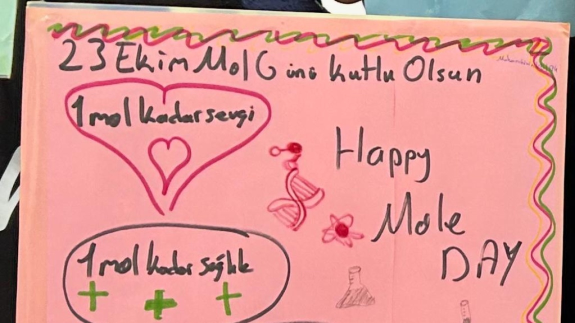 1 Mol Sevgi, Sağlık, Mutluluk Çalışması