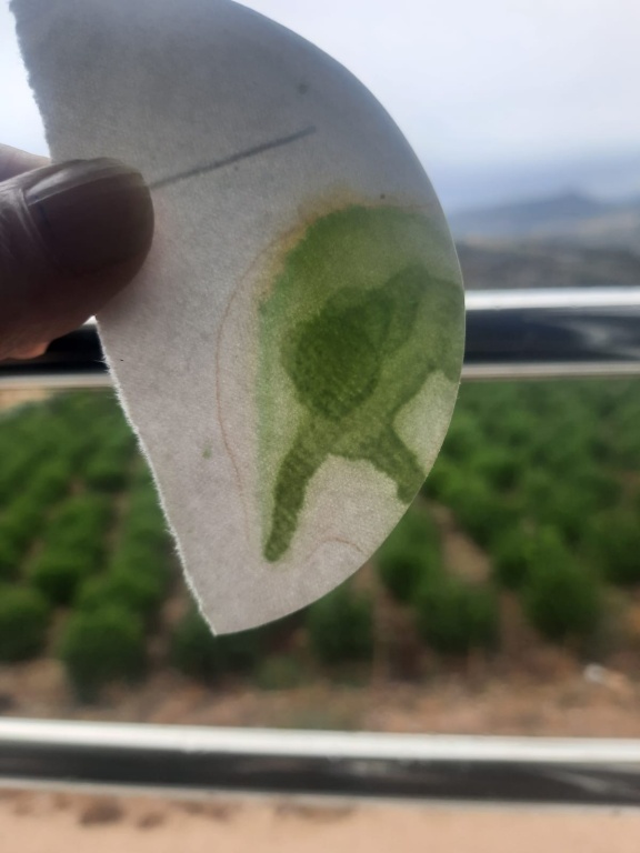 Kağıt Kromatografisi Uygulaması