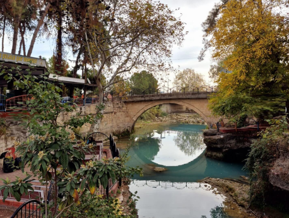 Doğa Bilinci Etkinliği