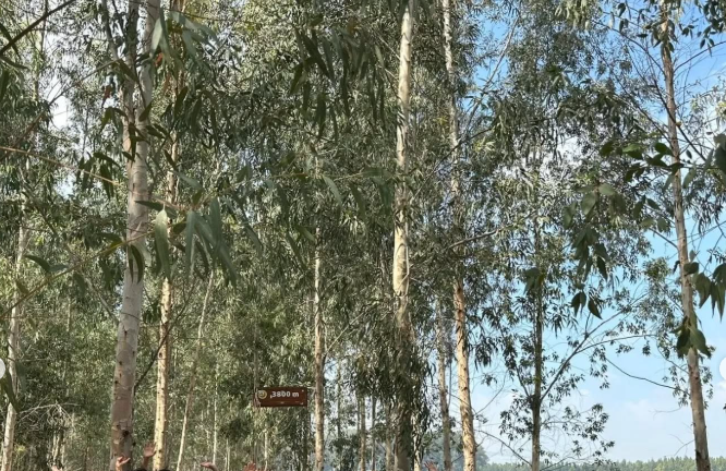 Dijital Yaşamda Hareket Et Projesi