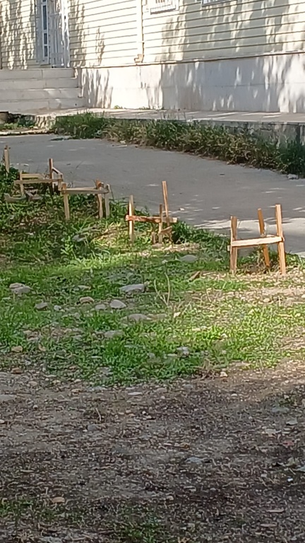 Fidan Ekim Etkinliği