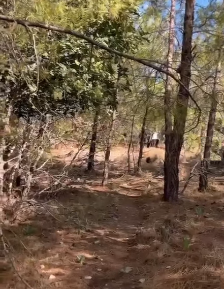 Doğanın Ruhuna Dokun Yeşil Vatanı Koru