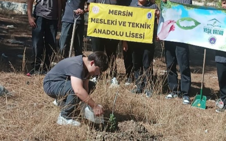 Ağaç Dikim Etkinliği
