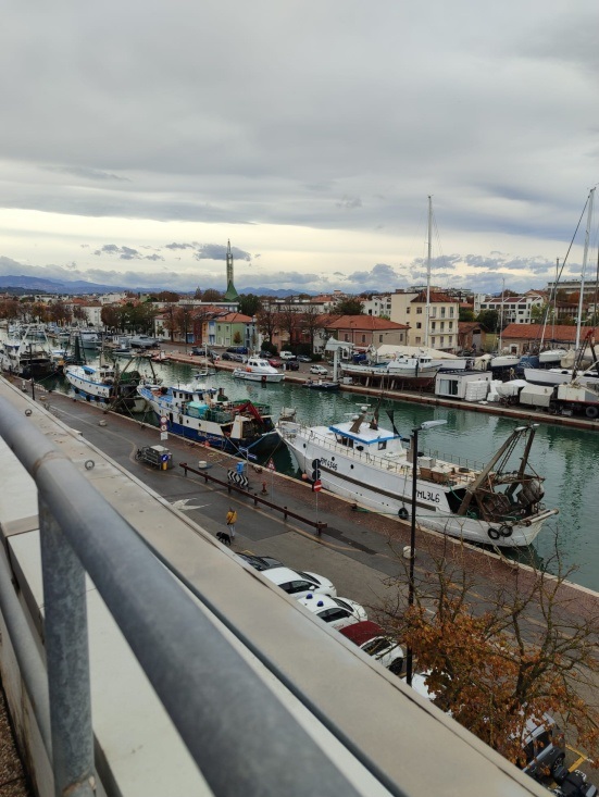 Erasmus Staj Hareketliliği