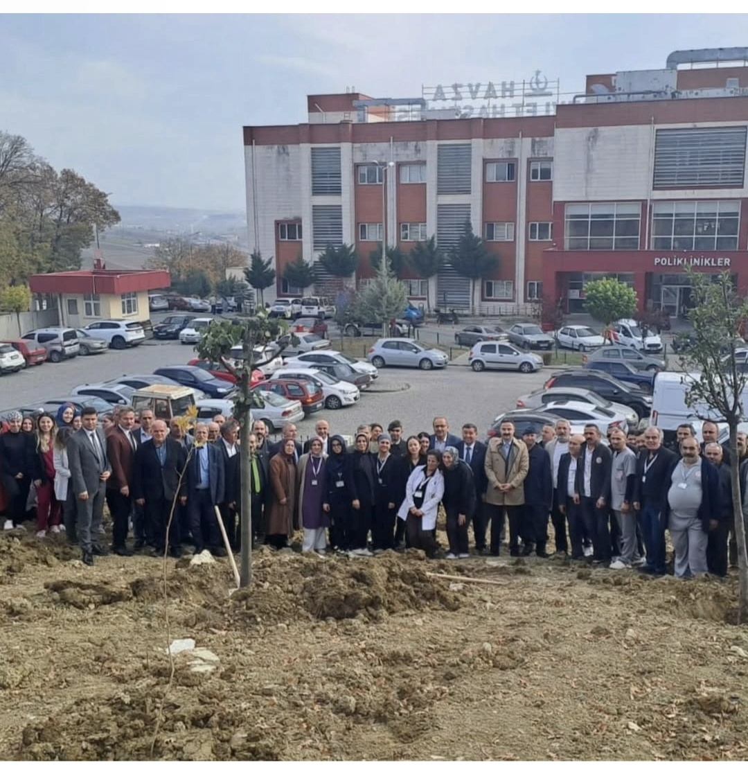 11 Kasım Milli Ağaçlandırma Günü