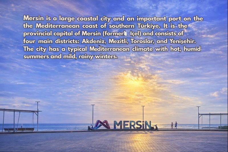 Green Voices Mersin Öğrenci Forumu Uluslararası Katılım