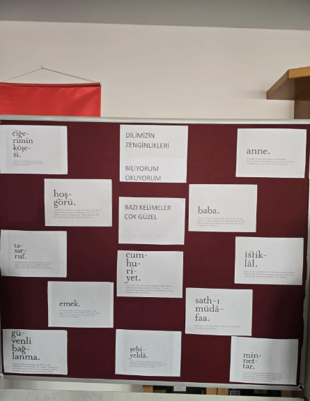 Dilimizin Zenginlikleri Çalışmaları