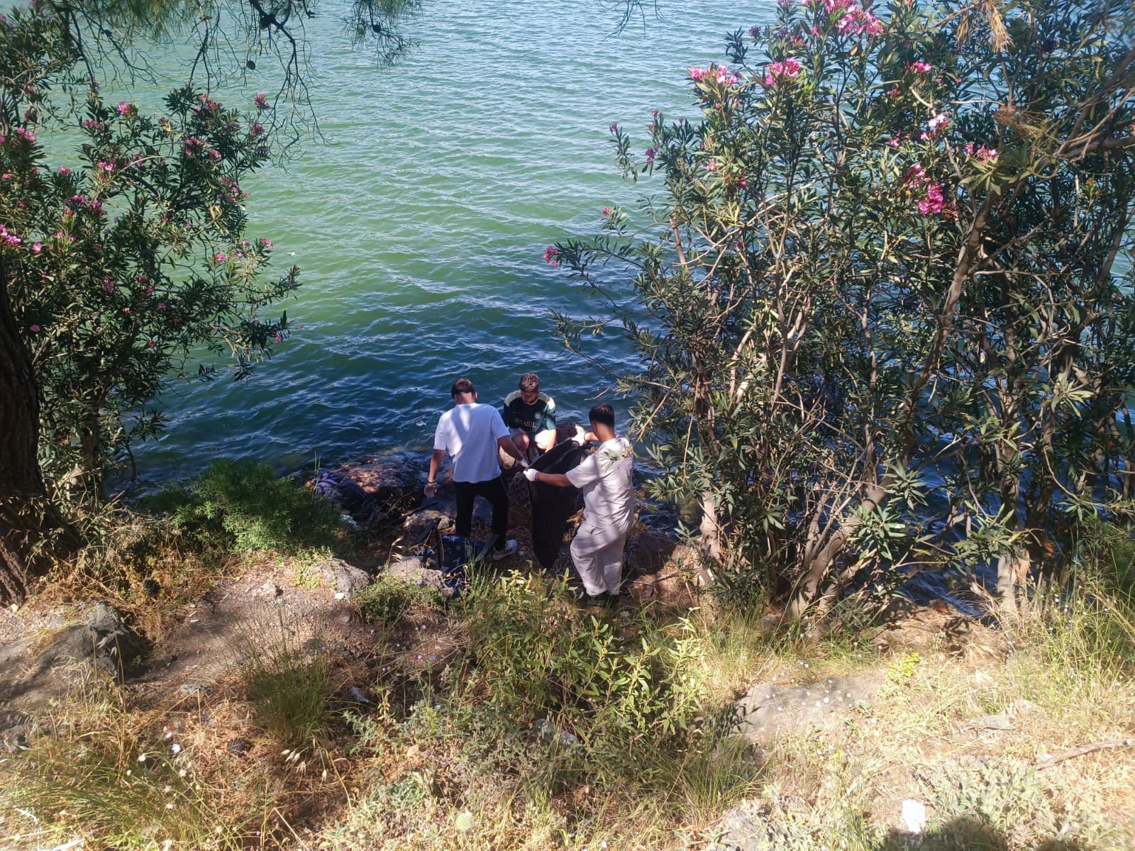 ORTACA GENÇ AR-GE Sulungur Gölü Çevre Temizliği ve Orman Yangınları Kızılçam Ağaçları Hakkında Bilgilendirme